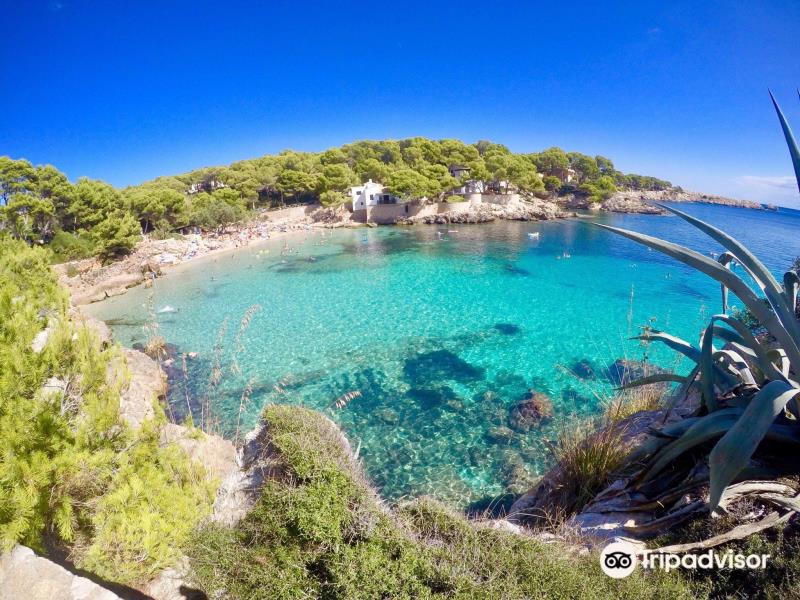 Cala Gat