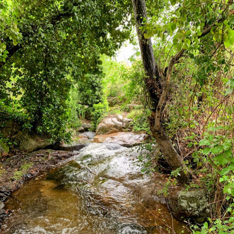 Garganta De Marta