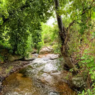 Garganta De Marta