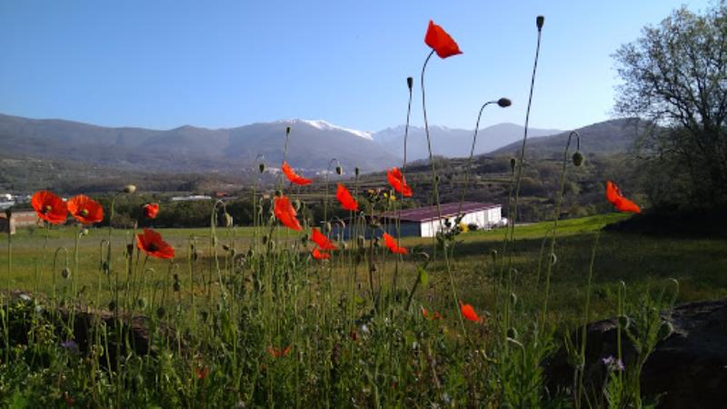 Camping Carlos I