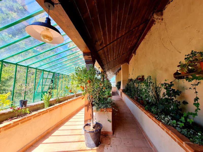 Histórico Artístico el Bosque de Béjar Garden