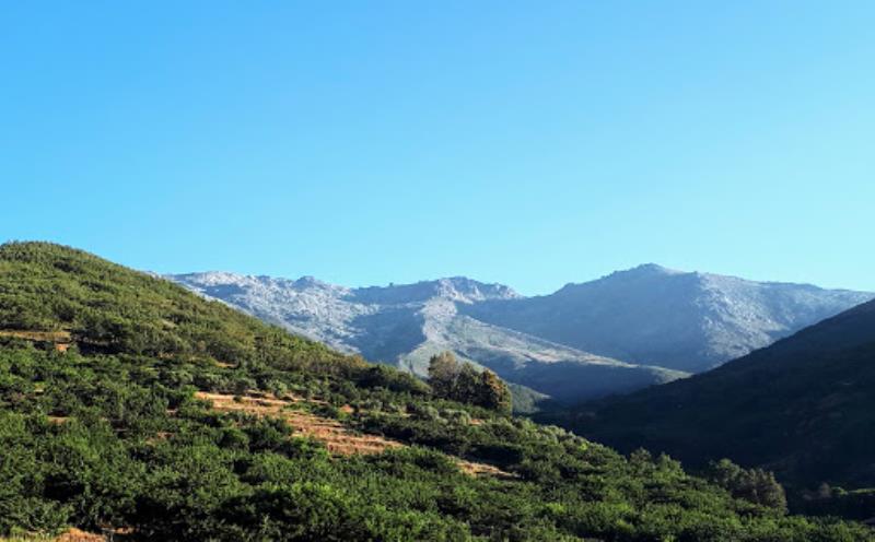 Finca Cerezos Tornavacas