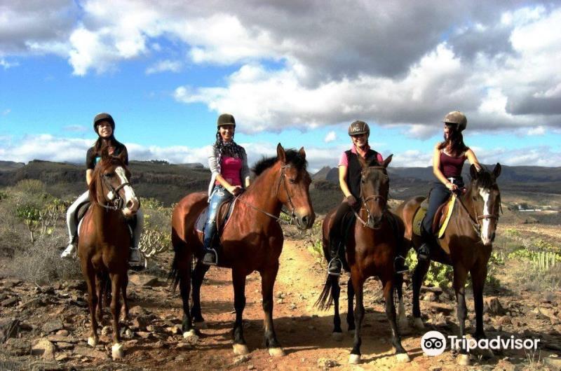 El Salobre Horse Riding