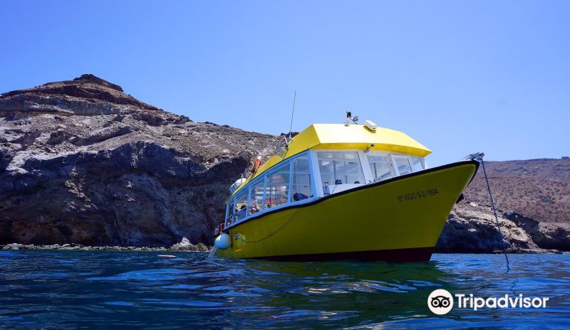Delphinus Diving School