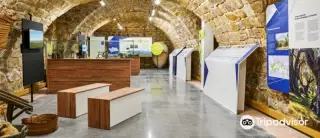 Centro de Interpretacion Olivar y Aceite