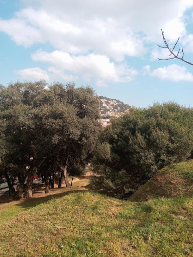 Parc de la Mina Cristalina