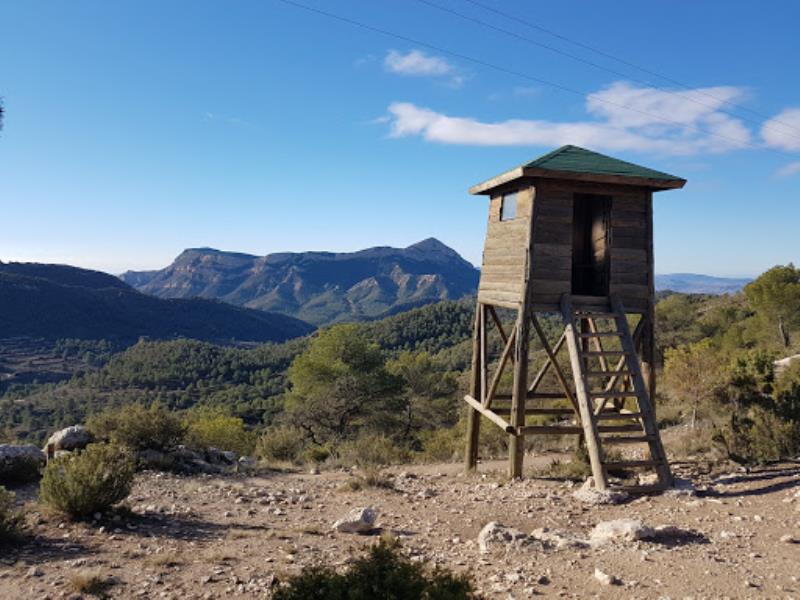Xorret Del Cati