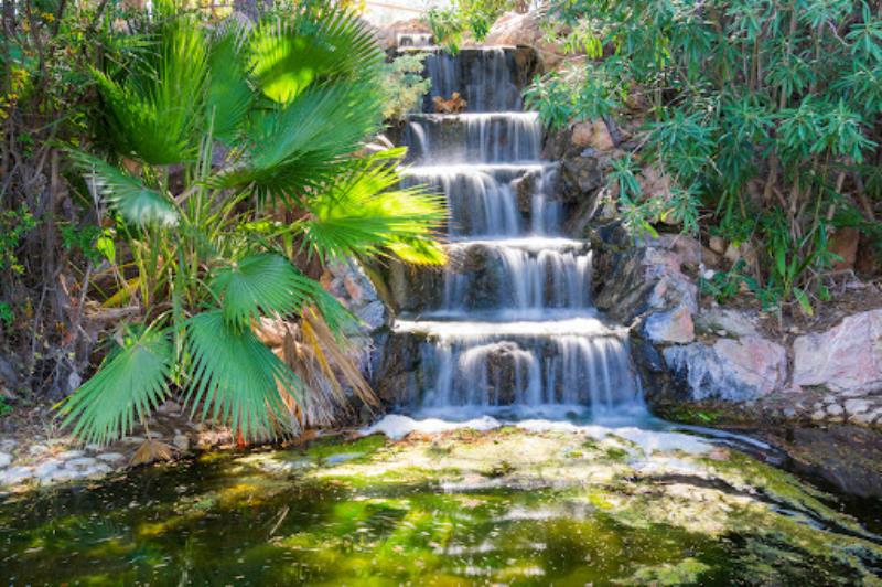 Oeste Park