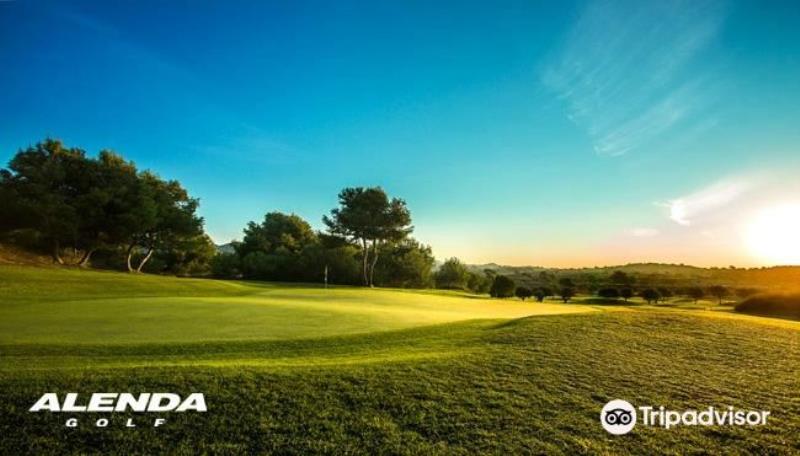 Alenda Club De Golf