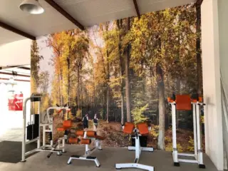 Nova Gym