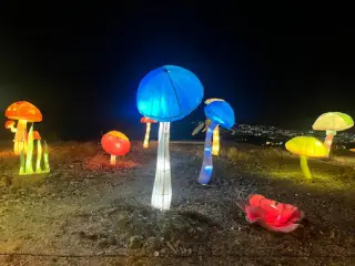 Chinese Lantern World ~ Light Show Tenerife
