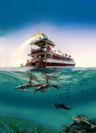 Royal Delfín Catamarán visión submarina NOSTRAMO, S.L.