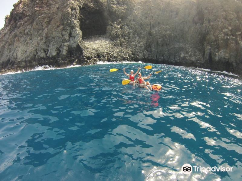 Eco-Tours Tenerife