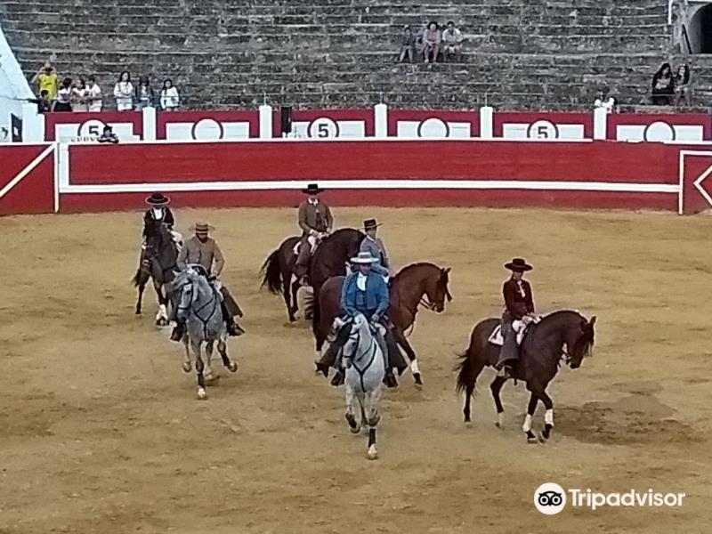 Plaza de Toros Los Rosales