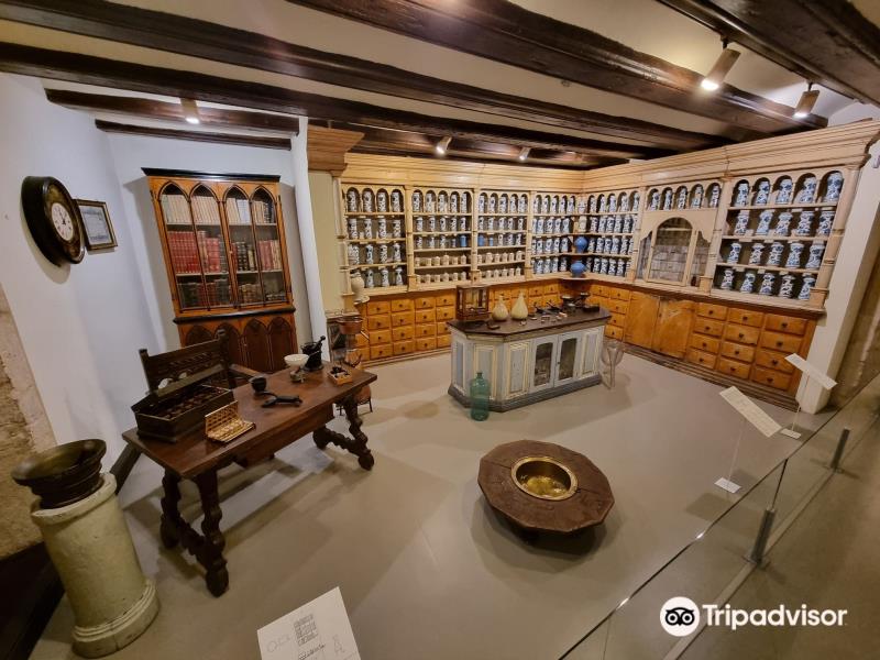 Museo Provincial