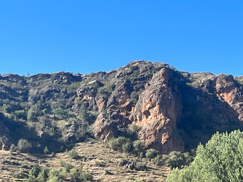Pinares del Rodeno