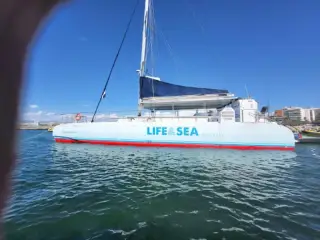 LIFEANDSEA