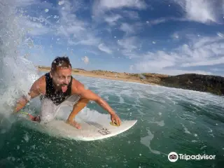 Surf Canaries