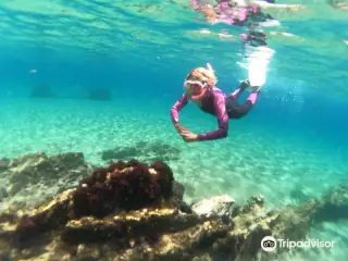 Zeus Dive Center