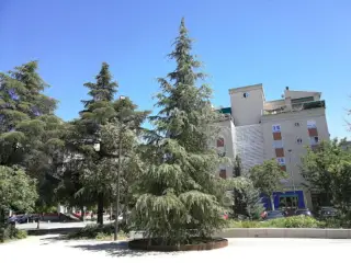Plaza de las Américas