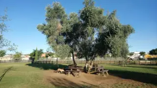 canino Park