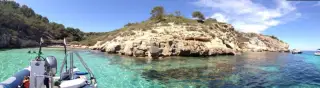 Big Blue Diving