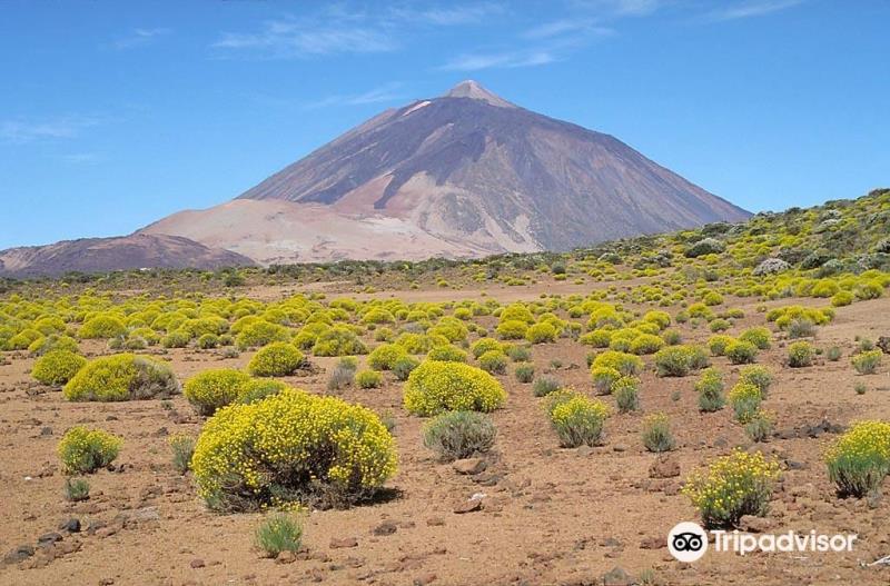 Teide Cable Car