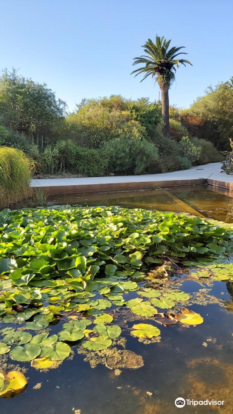Jardi Botanic Historic