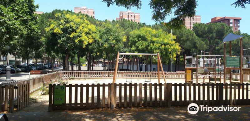 Plaza De La Palmera De Sant Marti