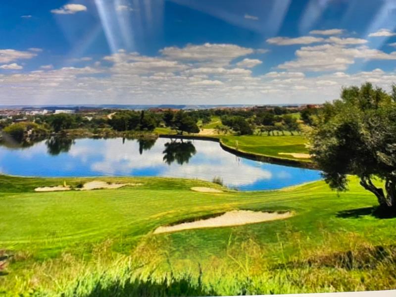 Golf Olivar