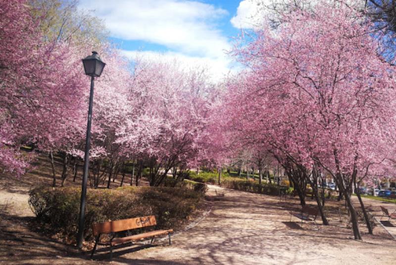 Parque de Caramuel