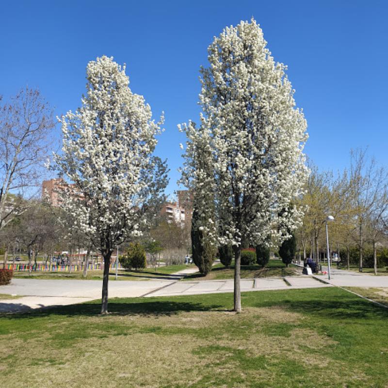 Parque Alfredo Kraus