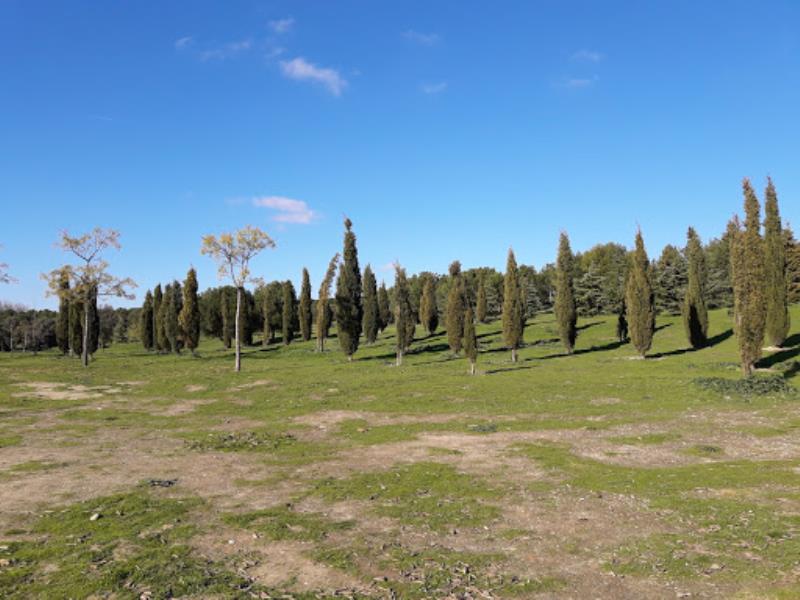 Moratalaz Campo URBIS