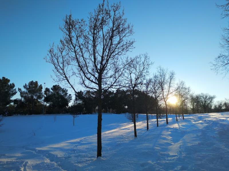 Vicálvaro Forest Park