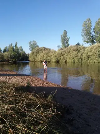 Playa del Alberche