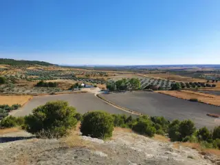 Fuente de la Teja