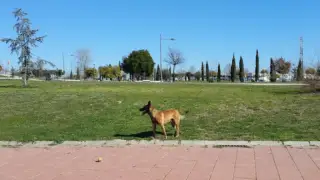 República Park