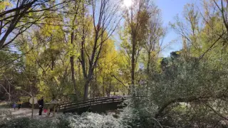 Pinar De Arroyomolinos
