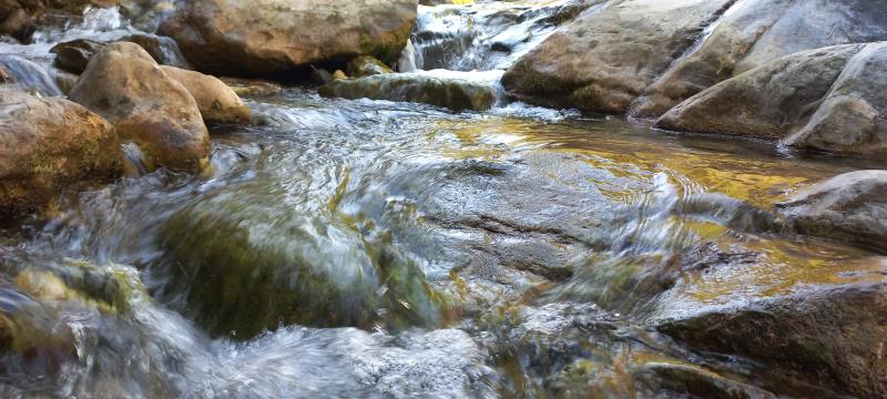 Ruta Barranco Blanco