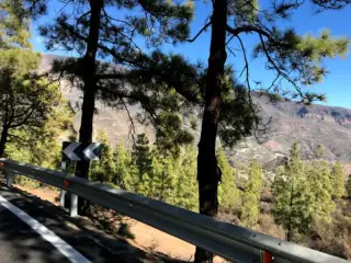 Llanos de Ana Lopez