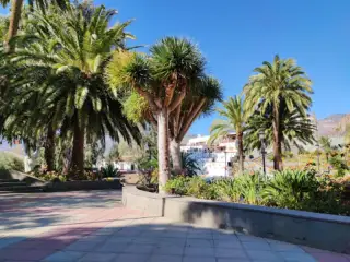 Santa Lucía de Tirajana Park