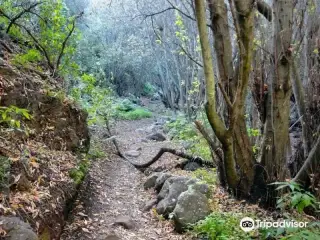 Barranco de los Cernicalos
