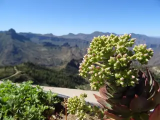 Mirador de Unamuno