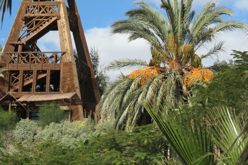 Fuerteventura Botanical Garden
