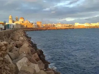 Free tour Cádiz Tours gaditanos