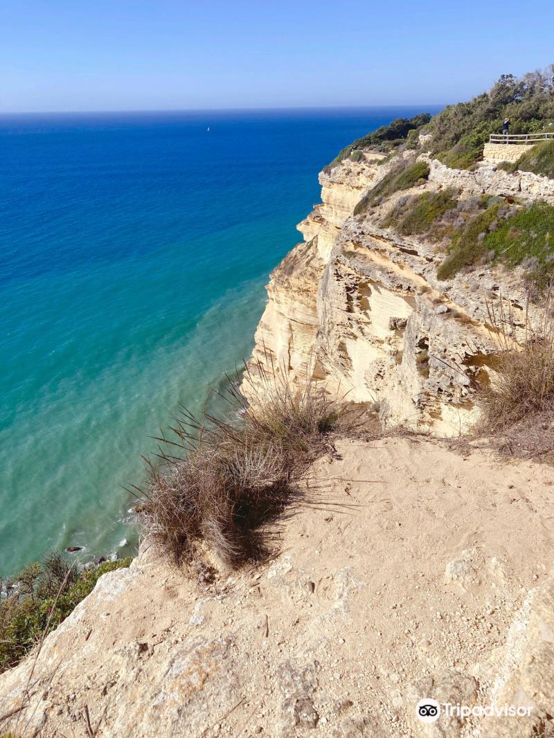 Mirador Torre del Tajo