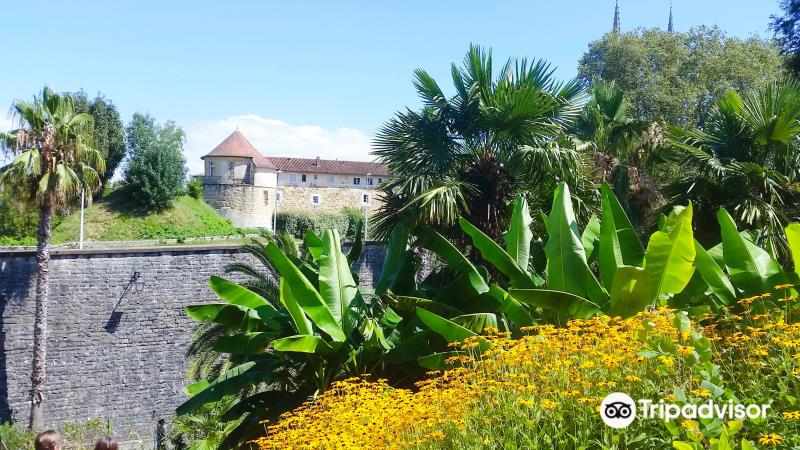 Jardin Botanique