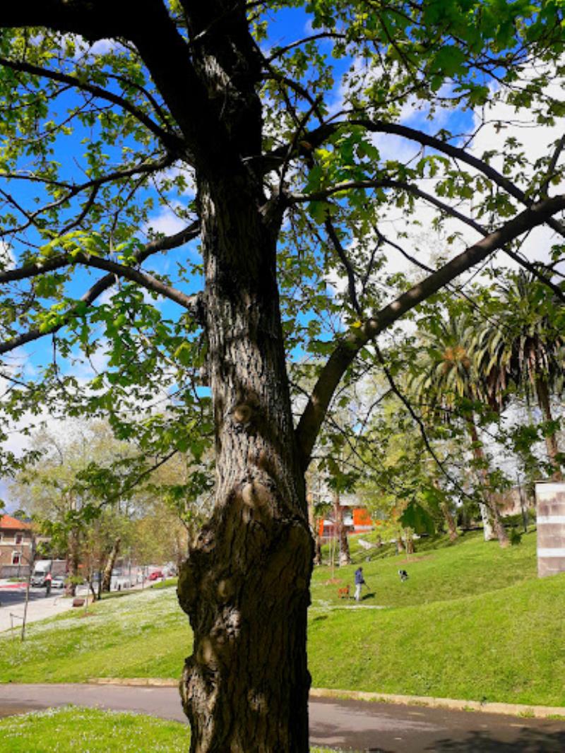 Parque De Deusto