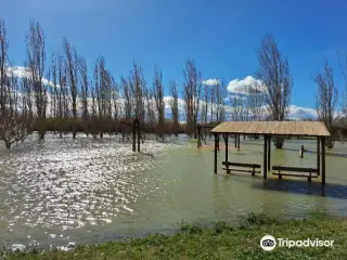 Galacho de Juslibol