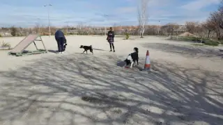 Canino Park
